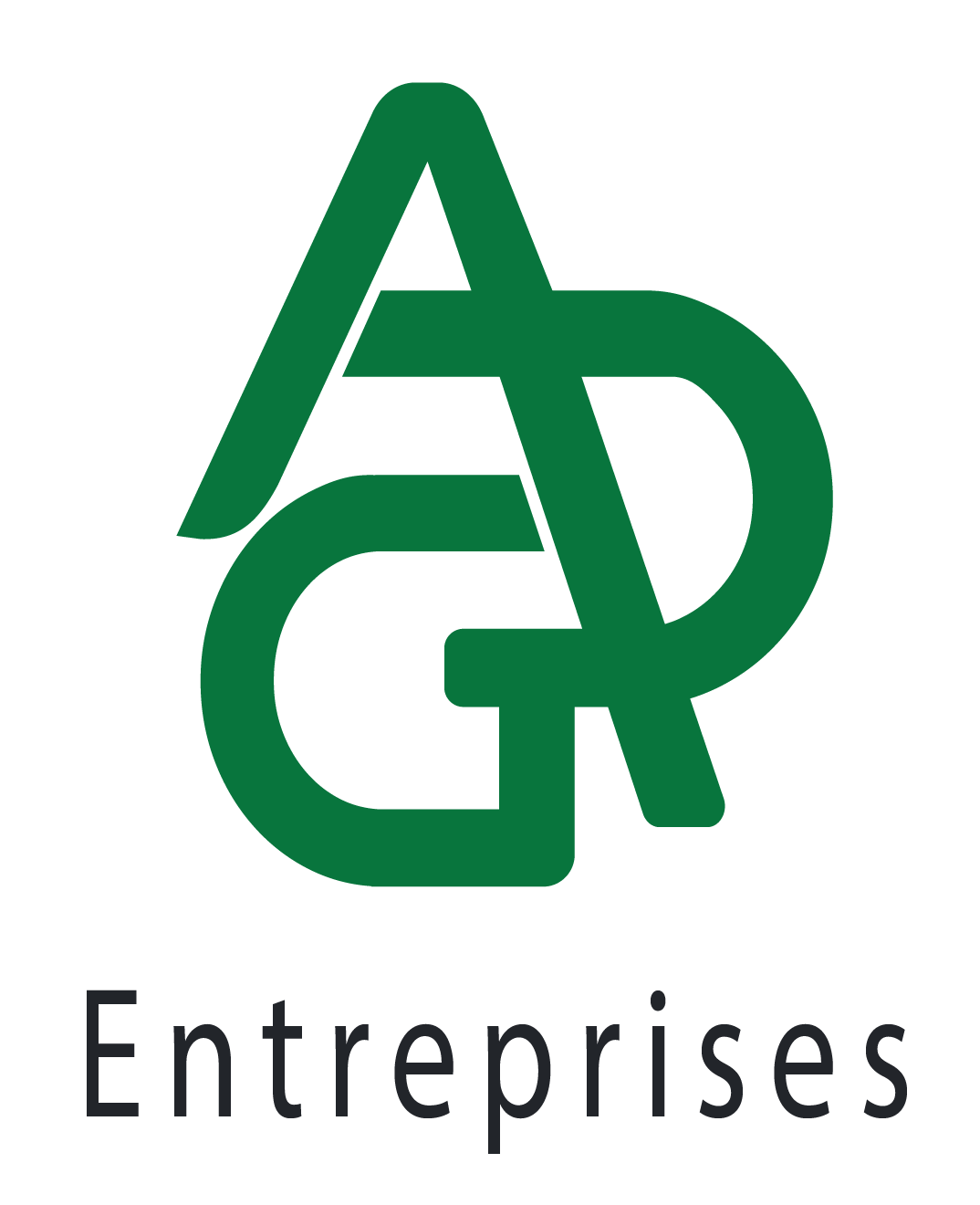 ARG ENTERPRISES CSC DIGITAL SEVA KENDRA Logo